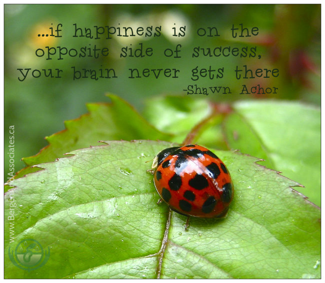 if happiness is on the opposite side of success, your brain never gets there…quote by Shawn Achor. Poster by Bergen and Associates Counselling in Winnipeg, Manitoba